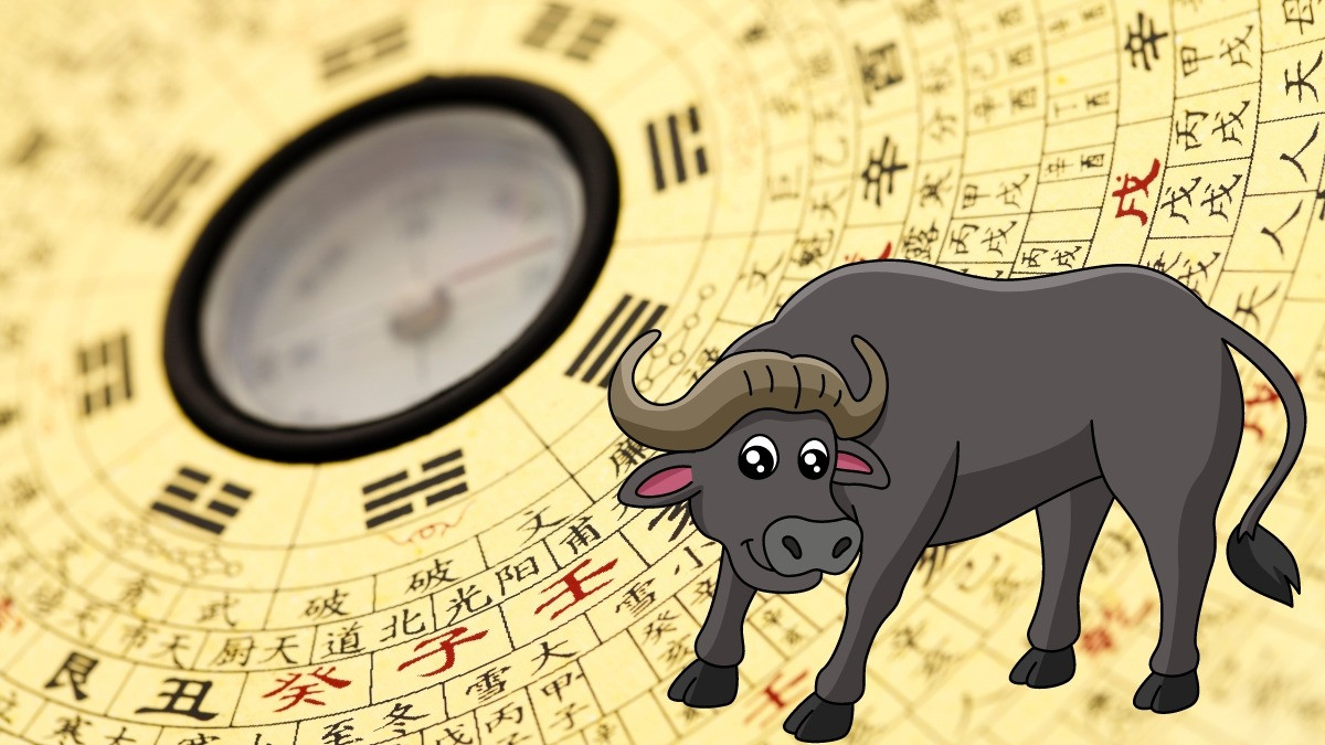 Biểu đồ phân tích cung phi