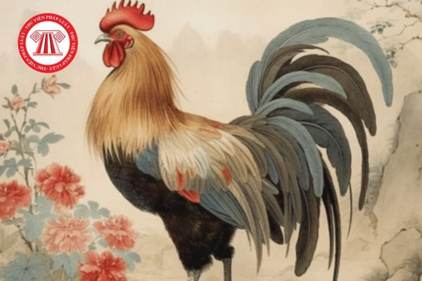 1969 năm nay 2025 bao nhiêu tuổi? Người sinh năm 1969 xây nhà hướng nào thì tốt?