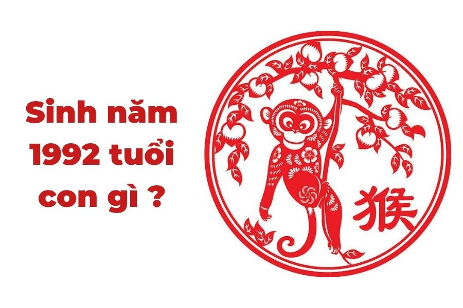 Hình ảnh minh họa con Khỉ