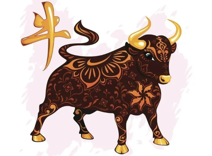 Người sinh năm 2009 tuổi Trâu