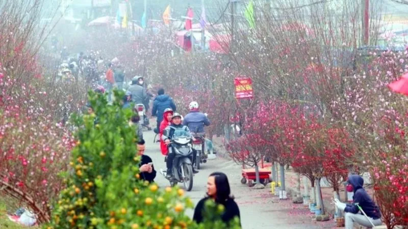 Dự báo thời tiết các khu vực dịp Tết Dương lịch 2026