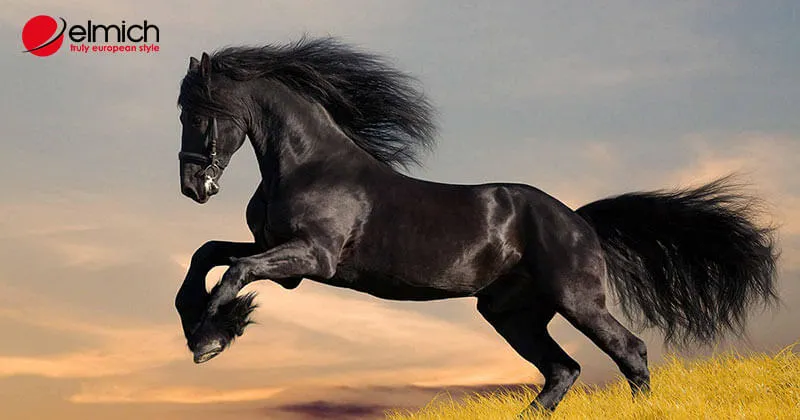 hinh 1 hinh trong bai viet 2 1