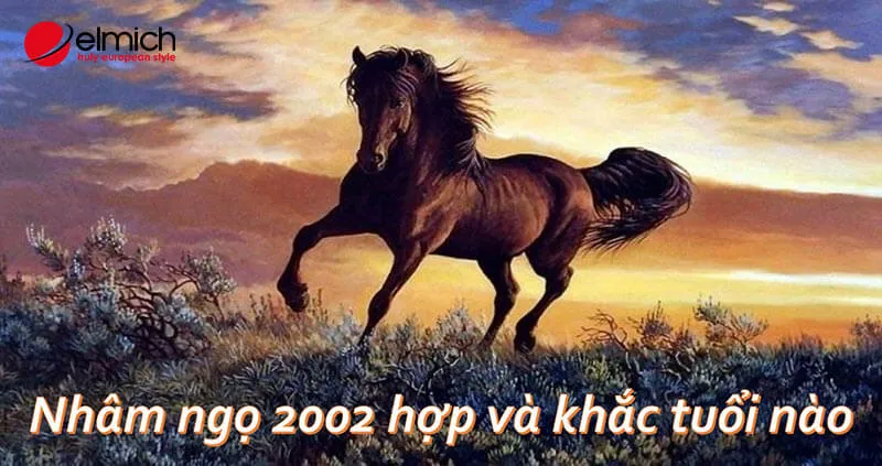 Giải mã năm sinh 2002 hợp tuổi gì theo đúng ngũ hành