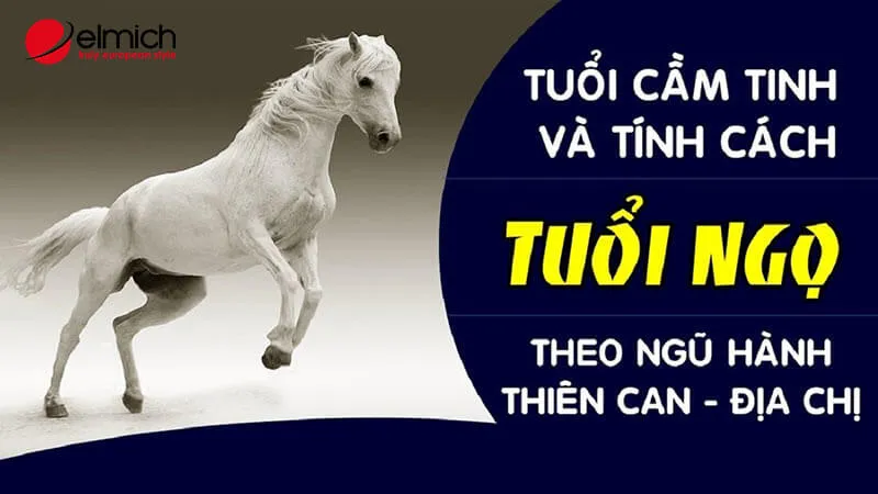 Tính cách chung của Nhâm Ngọ 2002 theo ngũ hành