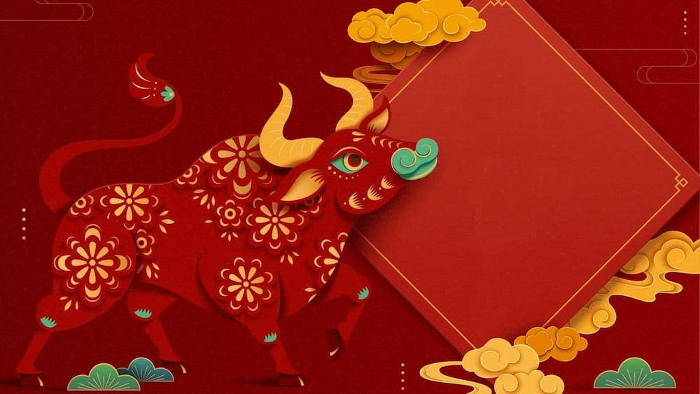 Sinh năm 1985 tuổi trâu