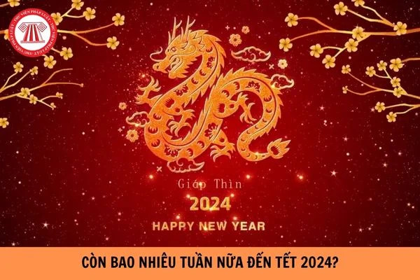 Tết Âm lịch 2024 còn bao nhiêu ngày