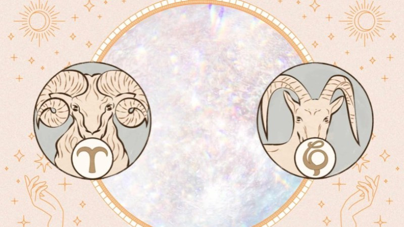 Ma Kết và các cung hợp nhau