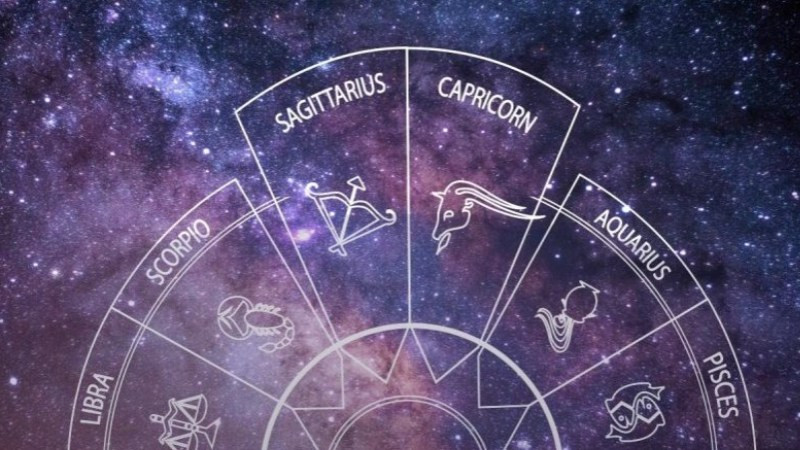 Nghề nghiệp phù hợp với Nhân Mã và Ma Kết