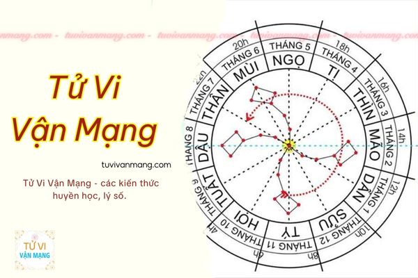 tuvivanmang-thumbnail-post