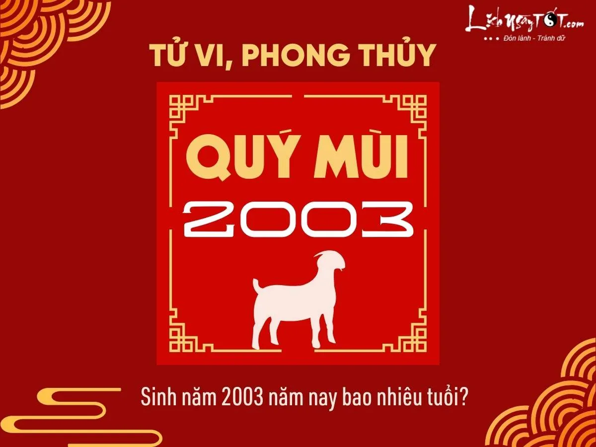 sinh nam 2003 nam nay bao nhieu tuoi 1