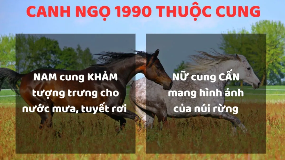 Cung mệnh nam và nữ 1990