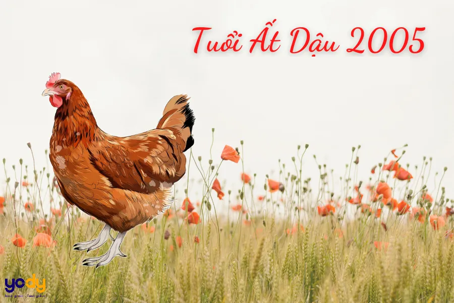 Hình ảnh minh họa người sinh năm 2005