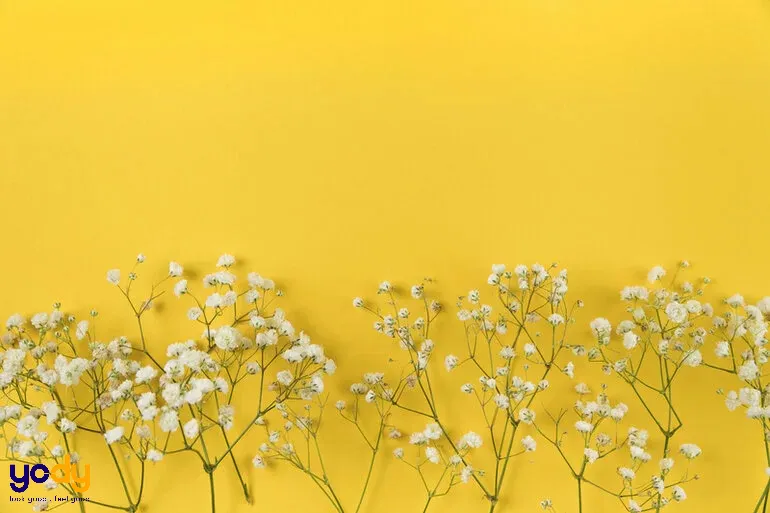 Hình ảnh minh họa các màu sắc hợp phong thủy