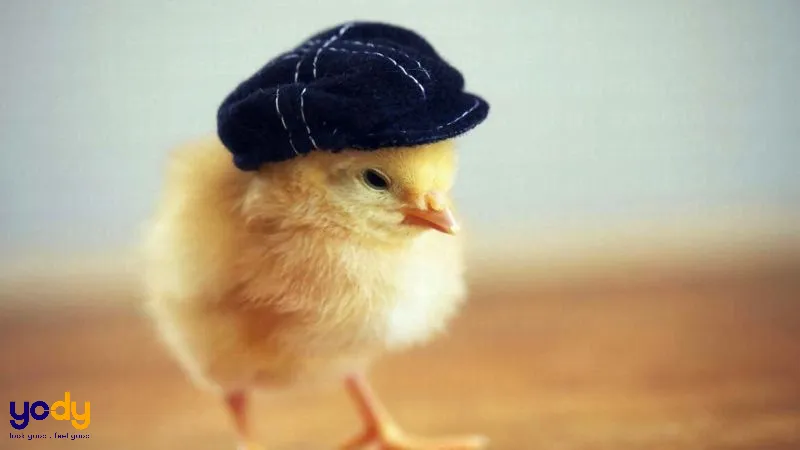 Hình ảnh minh họa câu hỏi liên quan về tuổi