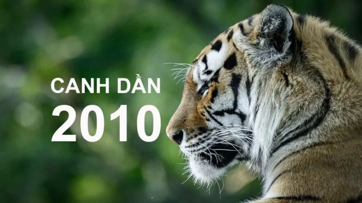 Năm sinh 2010 mệnh gì và tuổi gì