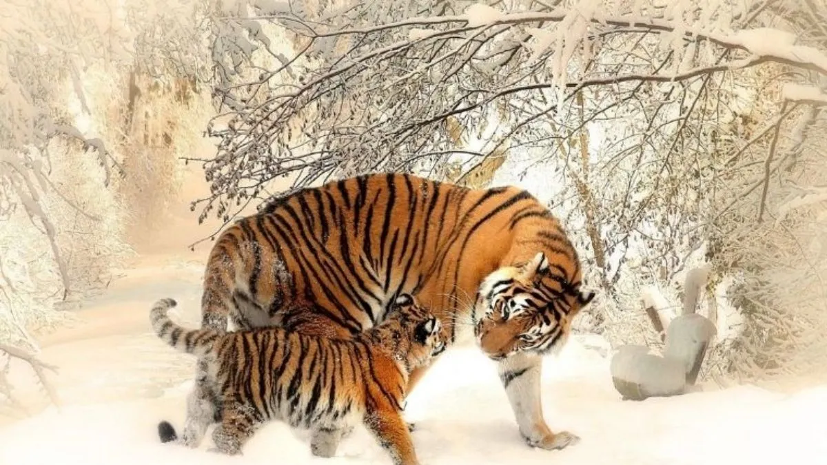 Năm sinh 2010 mệnh gì và cung mệnh gì