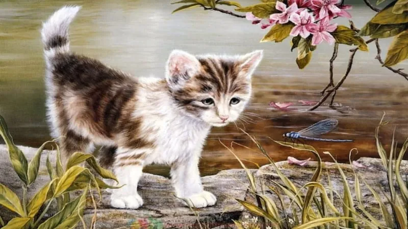 Sao hạn tuổi Mão năm 2025