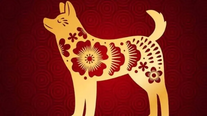 Sao hạn tuổi Tuất năm 2025