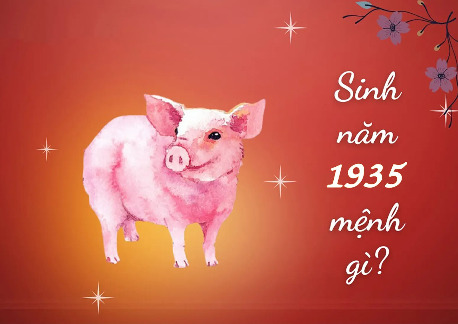 sinh nam 1935 1995 tuoi gi menh gi 01a 1