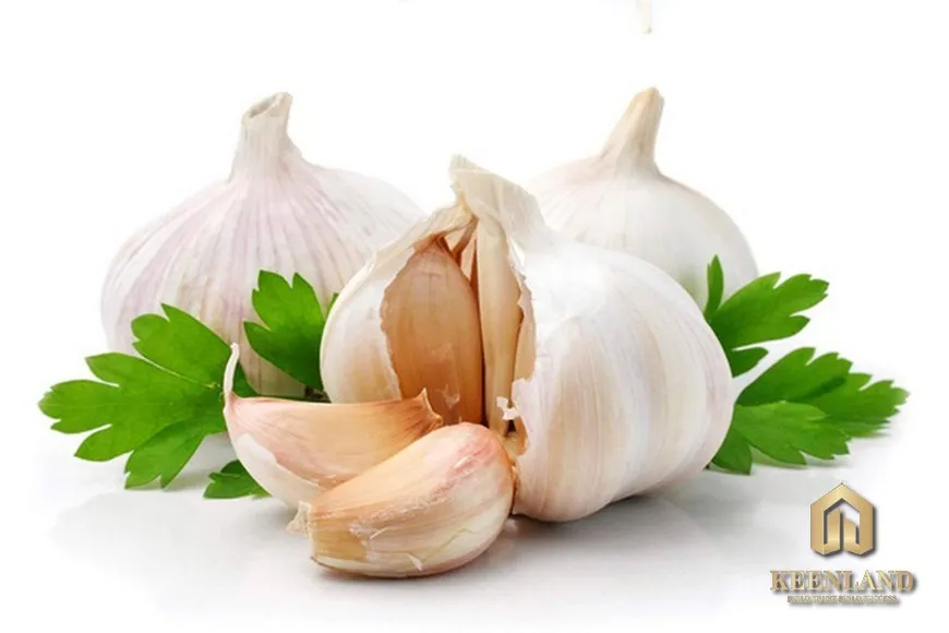 Trừ tà trong phòng ngủ bằng tỏi