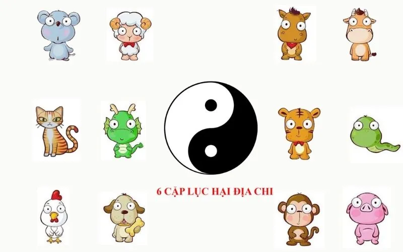 Hình ảnh biểu tượng thể hiện sự khác biệt trong ảnh hưởng giữa Lục xung và Lục hại