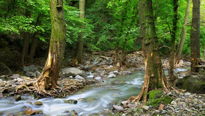 Tổng quan về mệnh Thủy của người sinh năm 1975