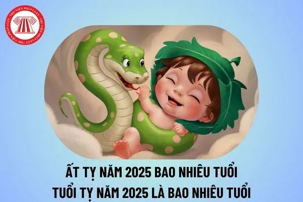 at ty nam 2025 bao nhieu tuoi tuoi ty nam 2025 la bao nhieu tuoi 1