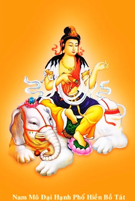 Bồ Tát Phổ Hiền cưỡi voi trắng sáu ngà, biểu tượng của hạnh nguyện và trí tuệ vượt chướng ngại