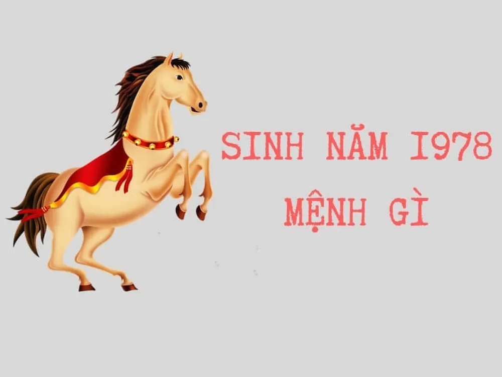 nhung nguoi sinh nam 1978 thuoc menh hoa1666323404 1