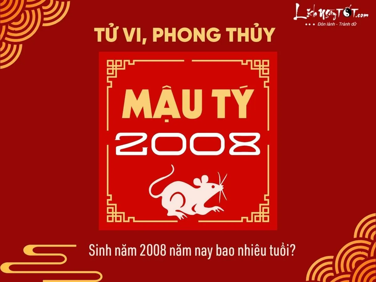 sinh nam 2008 nam nay bao nhieu tuoi 1