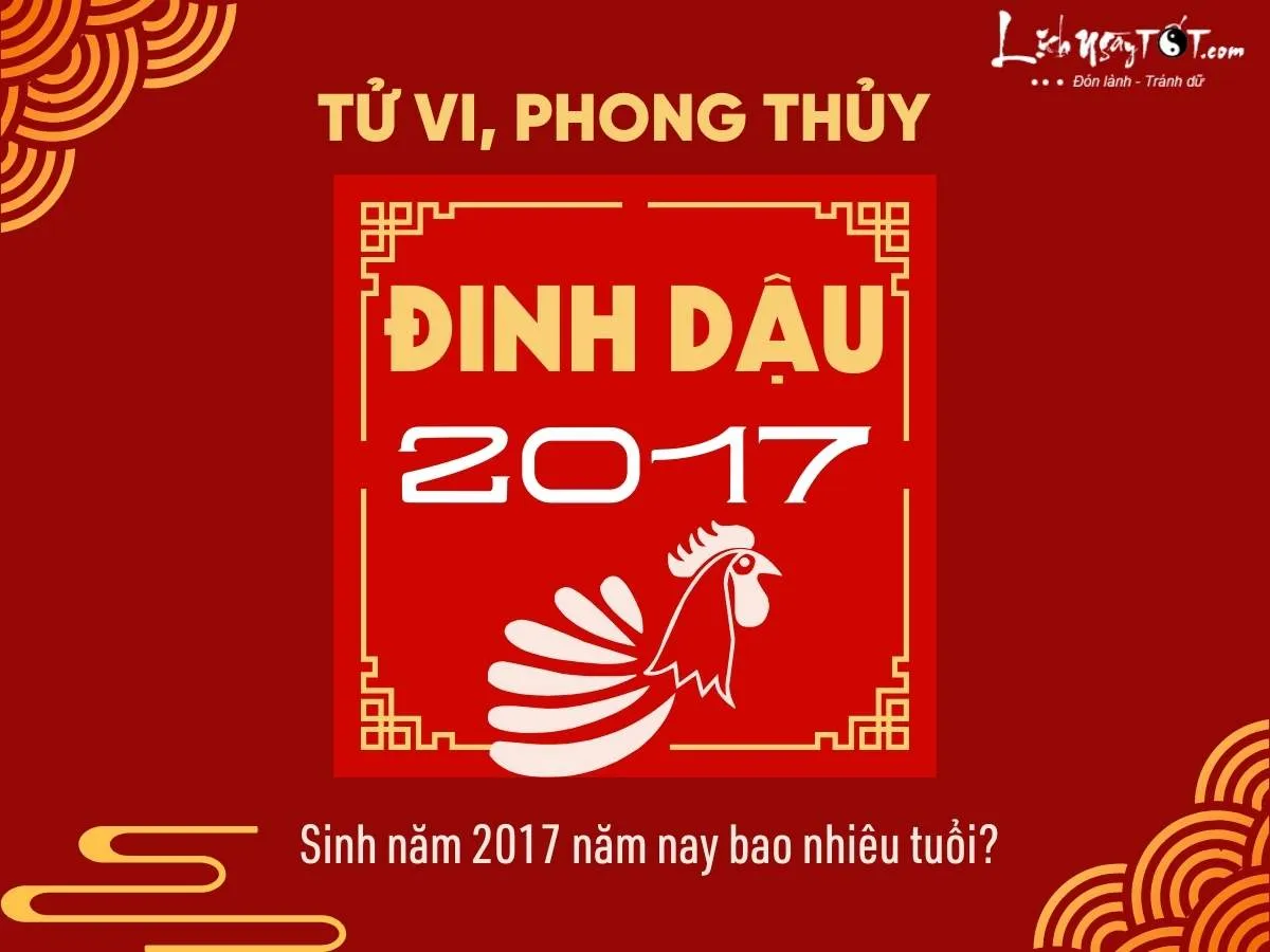 sinh nam 2017 nam nay bao nhieu tuoi 1