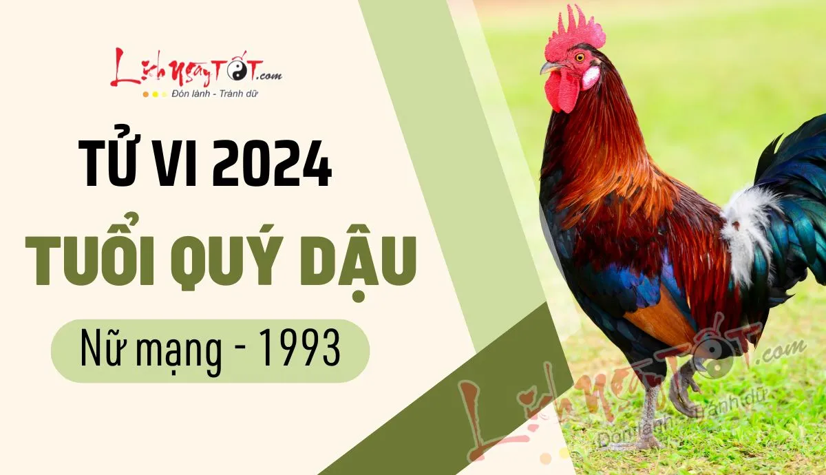 Hình ảnh minh họa tử vi tổng quan năm 2024 của nữ mạng Quý Dậu sinh năm 1993