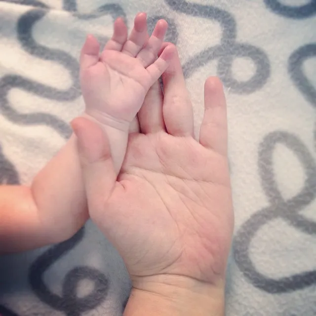 121424295269067741387851852205748n 1