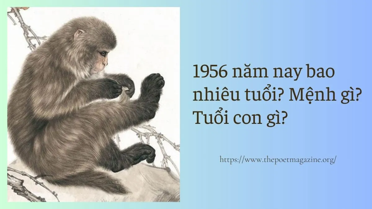 Một người phụ nữ ngồi bên cạnh một con khỉ nhỏ, thể hiện tuổi con khỉ năm 1956