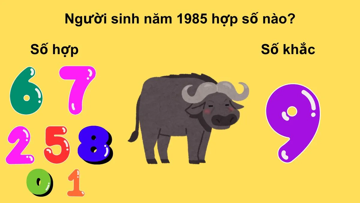 Hình ảnh minh họa các con số may mắn phù hợp với người sinh năm 1985
