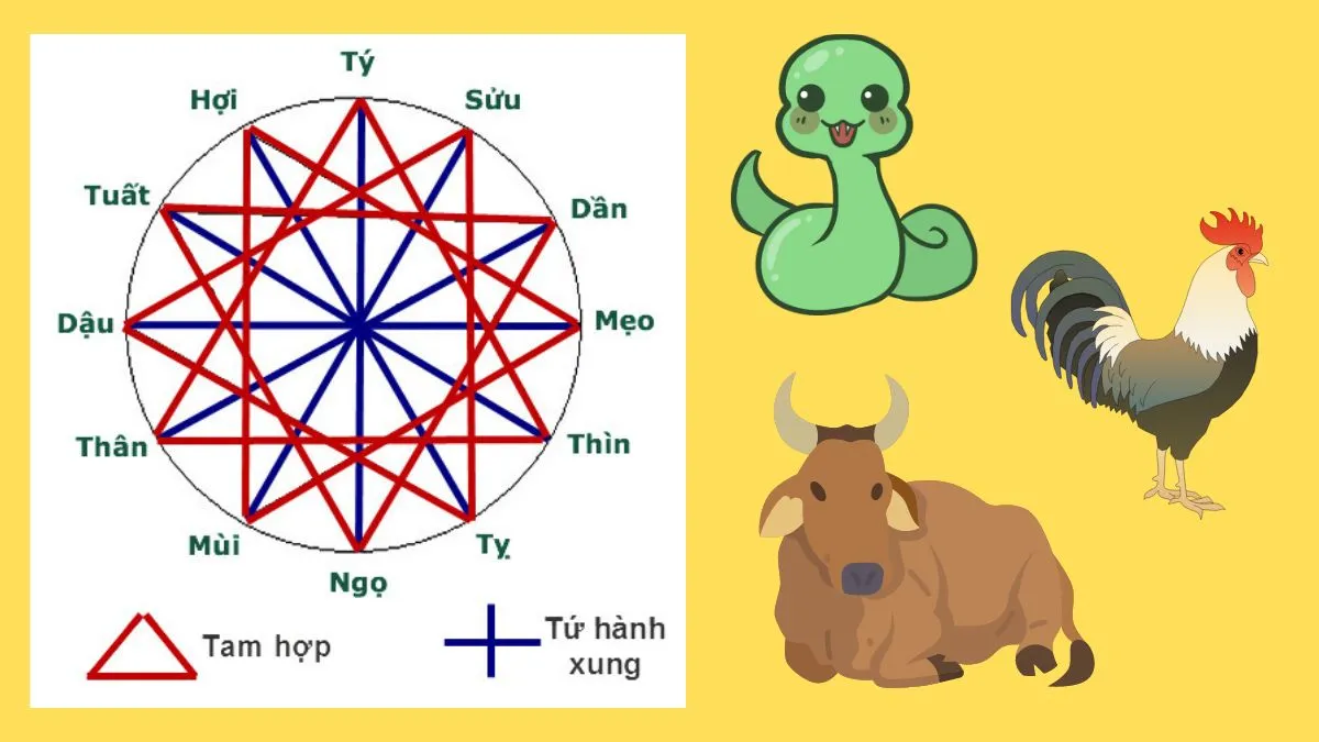 Hình ảnh đại diện cho các con giáp Tỵ, Dậu, Sửu thuộc nhóm tam hợp