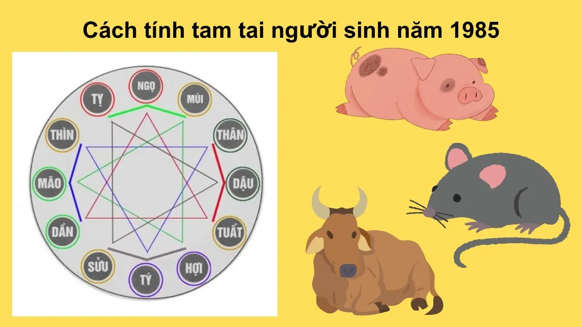 Hình ảnh lịch hoặc biểu tượng các năm Hợi, Tý, Sửu minh họa chu kỳ Tam Tai của người sinh năm 1985