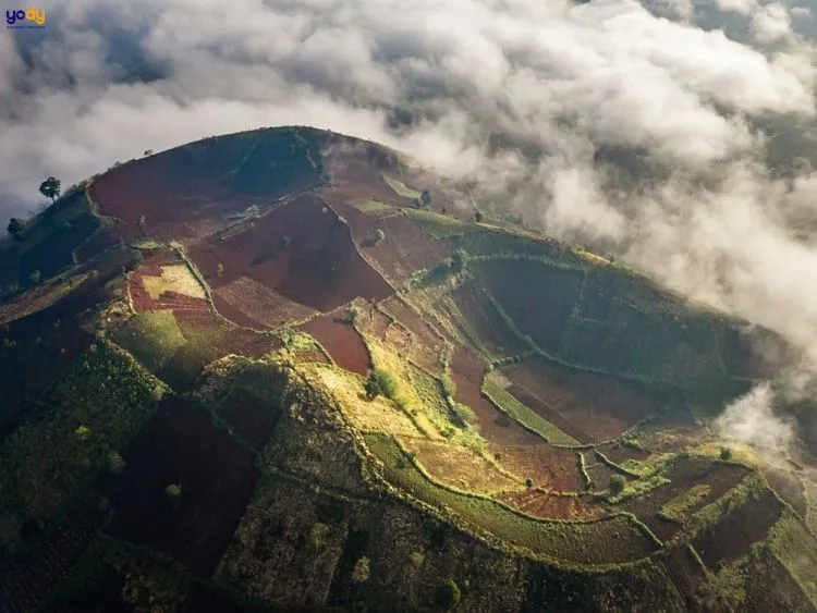 Kỷ Mão 1999 thuộc mệnh Thành Đầu Thổ