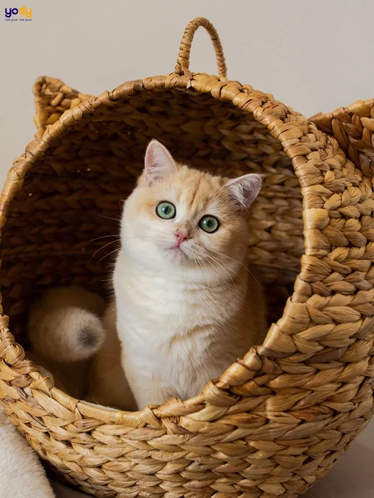 Người sinh năm 1999 bao nhiêu tuổi vào năm 2024