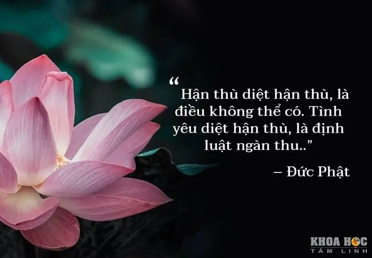 Hai người bạn đang nắm tay nhau bước đi trên con đường thanh tịnh, biểu tượng cho tình bạn bền vững