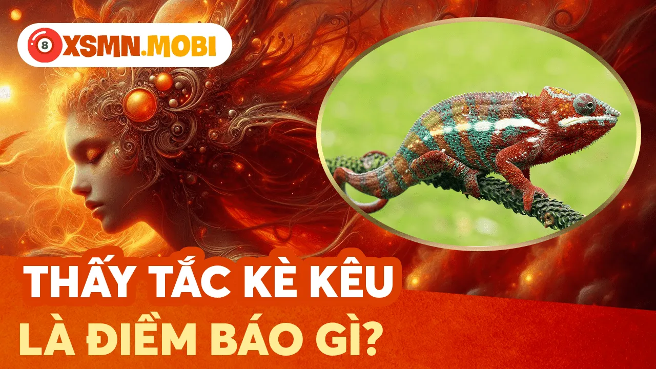 Thấy tắc kè vào nhà hay kêu linh ứng với con số nào?