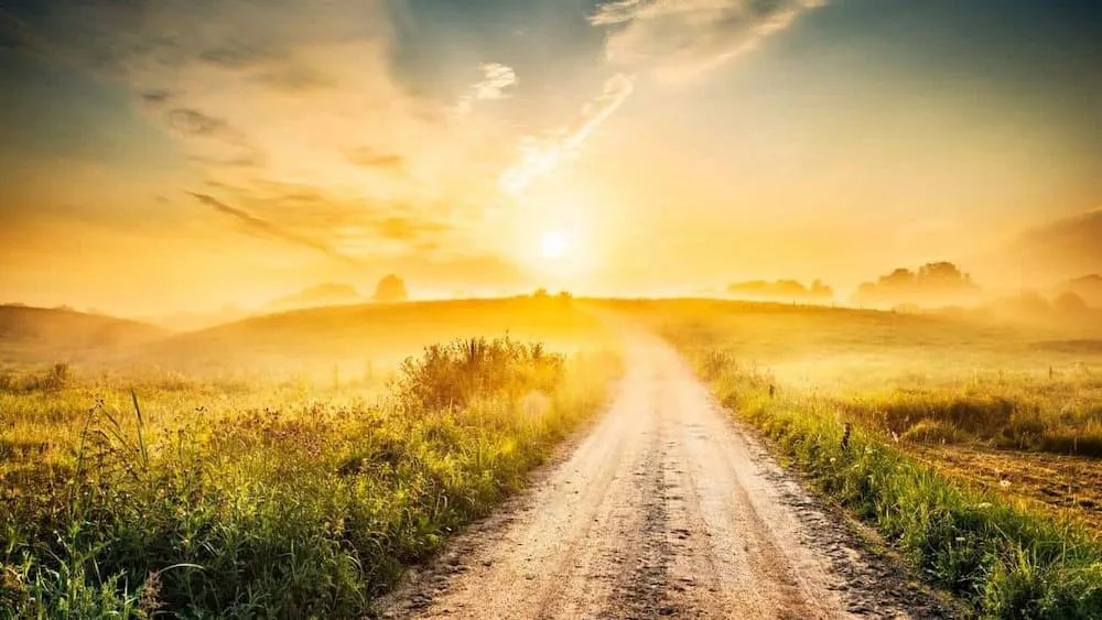 Hình ảnh Lộ Bàng Thổ thể hiện tính cách nữ Canh Ngọ 1990