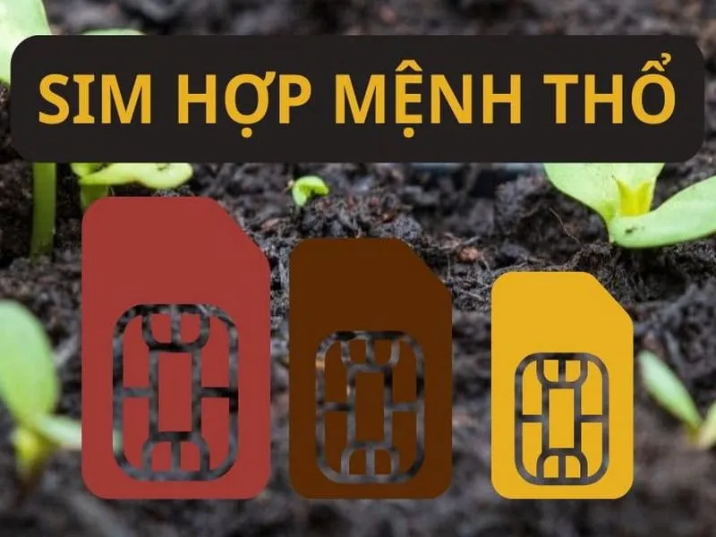 Chọn sim số đẹp hợp mệnh Thổ cần tuân theo các nguyên tắc phong thủy