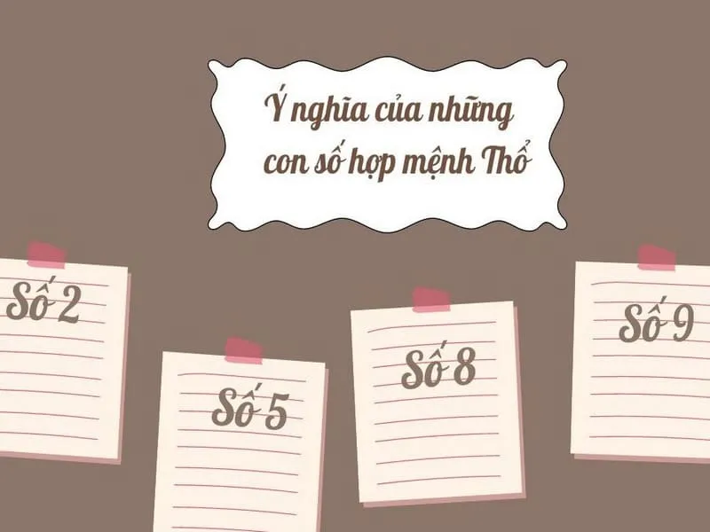 Mối quan hệ tương sinh giữa Thổ và các con số có vai trò quan trọng