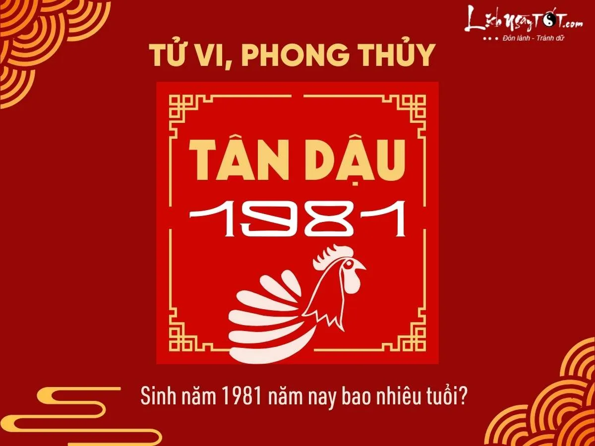 Người sinh năm 1981 tuổi Tân Dậu