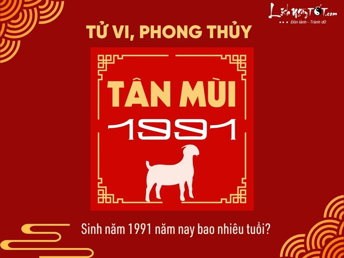 sinh nam 1991 nam nay bao nhieu tuoi 1