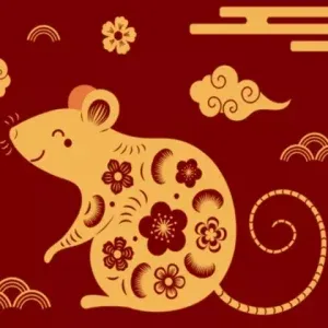 Năm sinh 1996 thuộc mệnh gì?