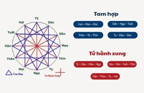 Hợi và Mùi thuộc Tam Hợp mang lại sự hòa hợp, tài lộc