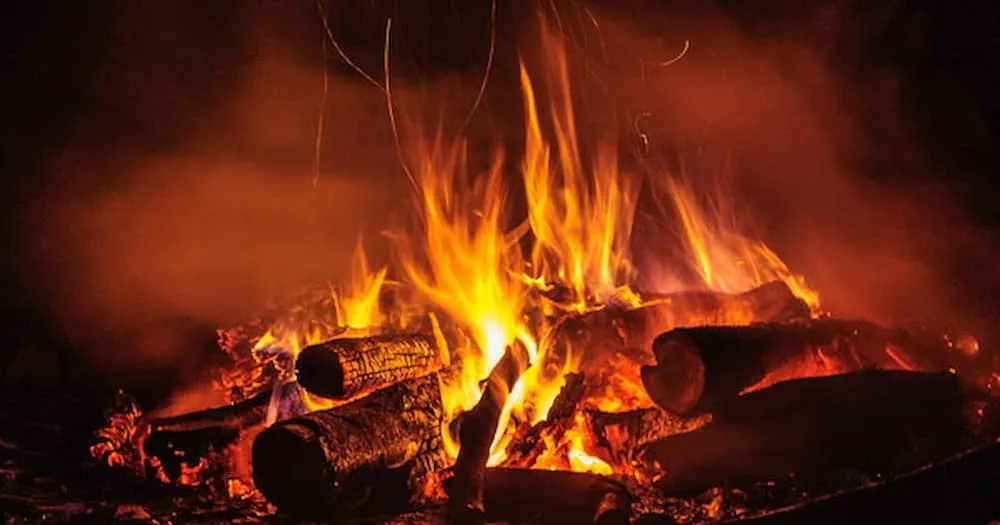 tuoi 1987 gan lien voi hinh anh lua trong lo1666598680 1