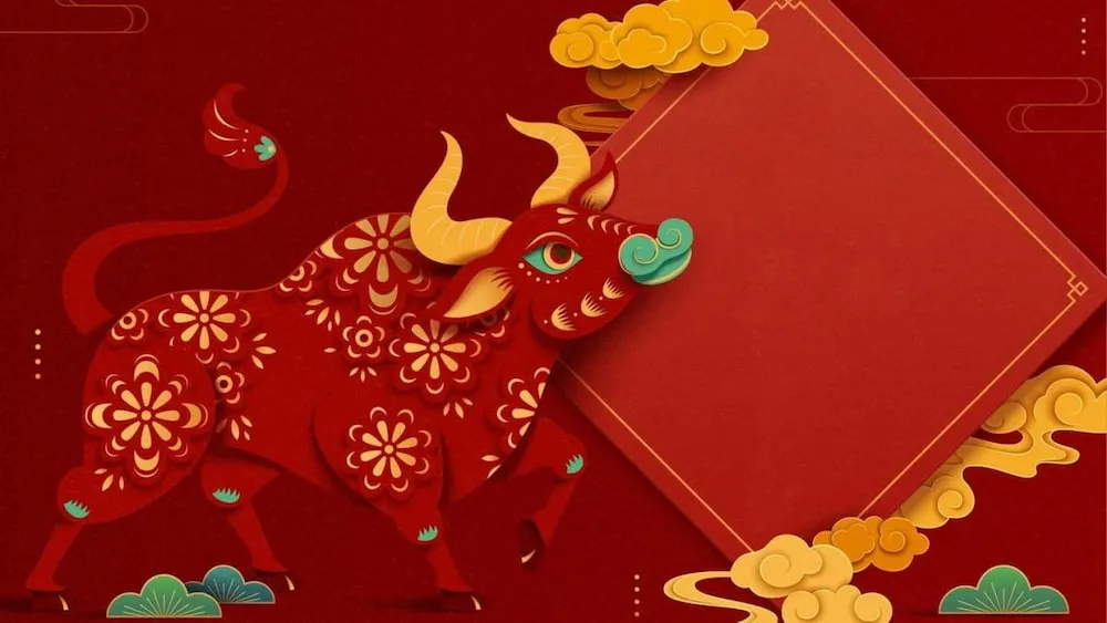 Người tuổi Quý Sửu 1973 thường là trụ cột đáng tin cậy trong gia đình